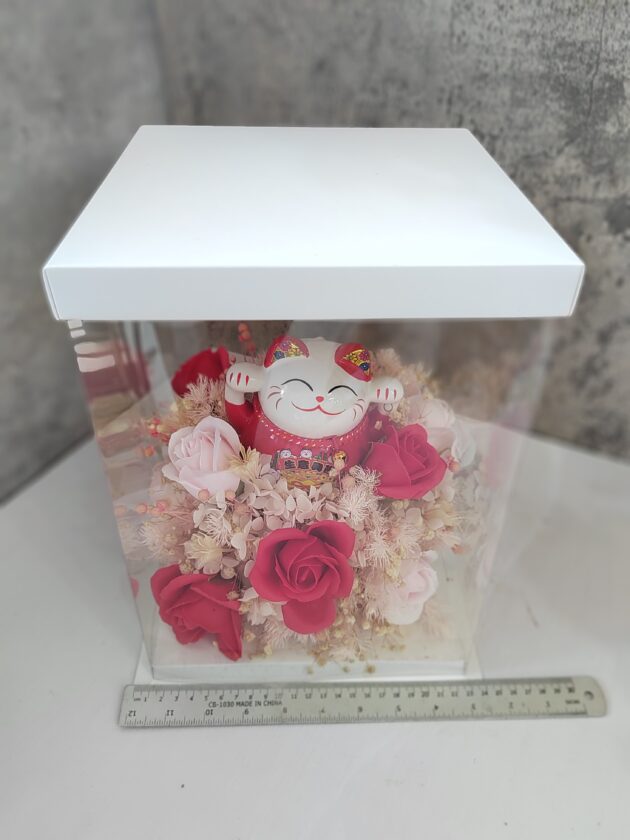 RS0020 Luck Fortune Cat for Your New Adventure (Red) - Image 3