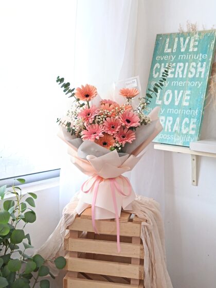 VAL0028 Pastel Dream